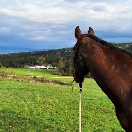 Folwark Toporzysko * Jordanow